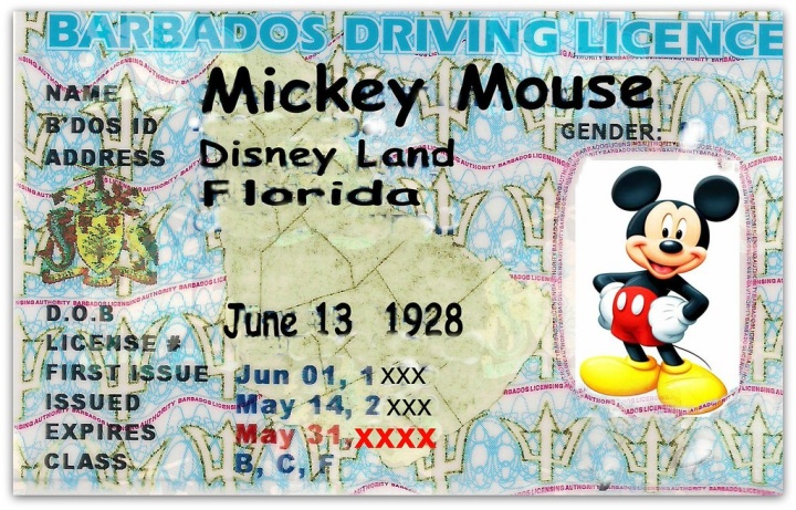 driver's license